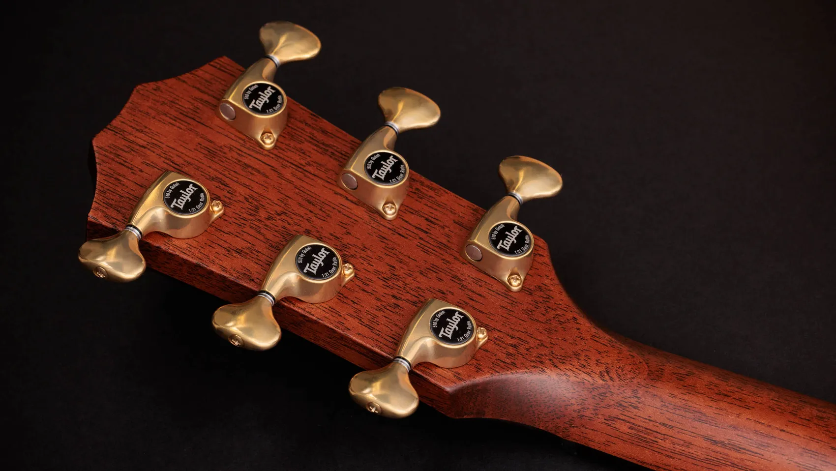 50th Anniversary Builder's Edition 812ce LTD Indian Rosewood
